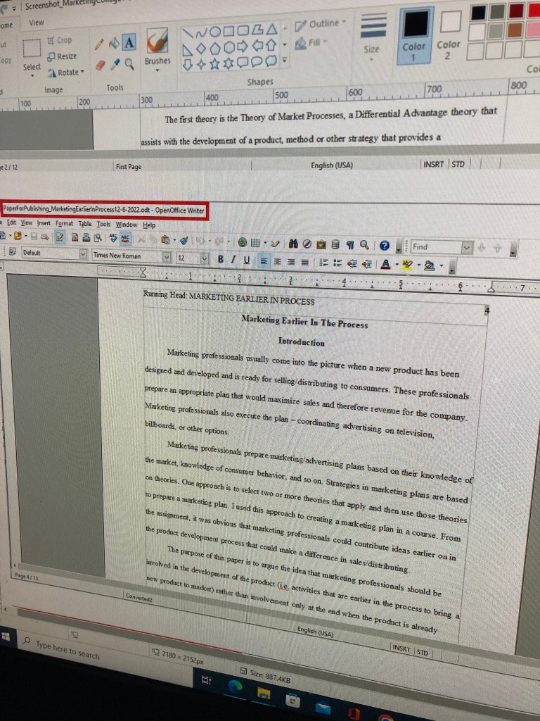 Marketing paper 3 Fahmeena Odetta Moore