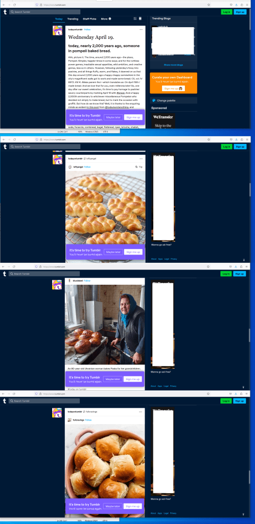 Tumblr Logoff Landing Page