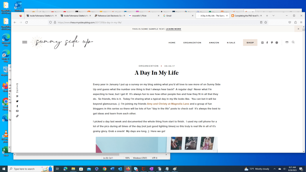 Screenshot of A Day In My Life blog post