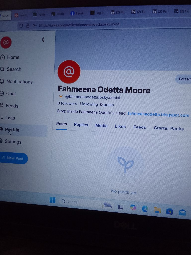 Screenshot Bluesky profile page