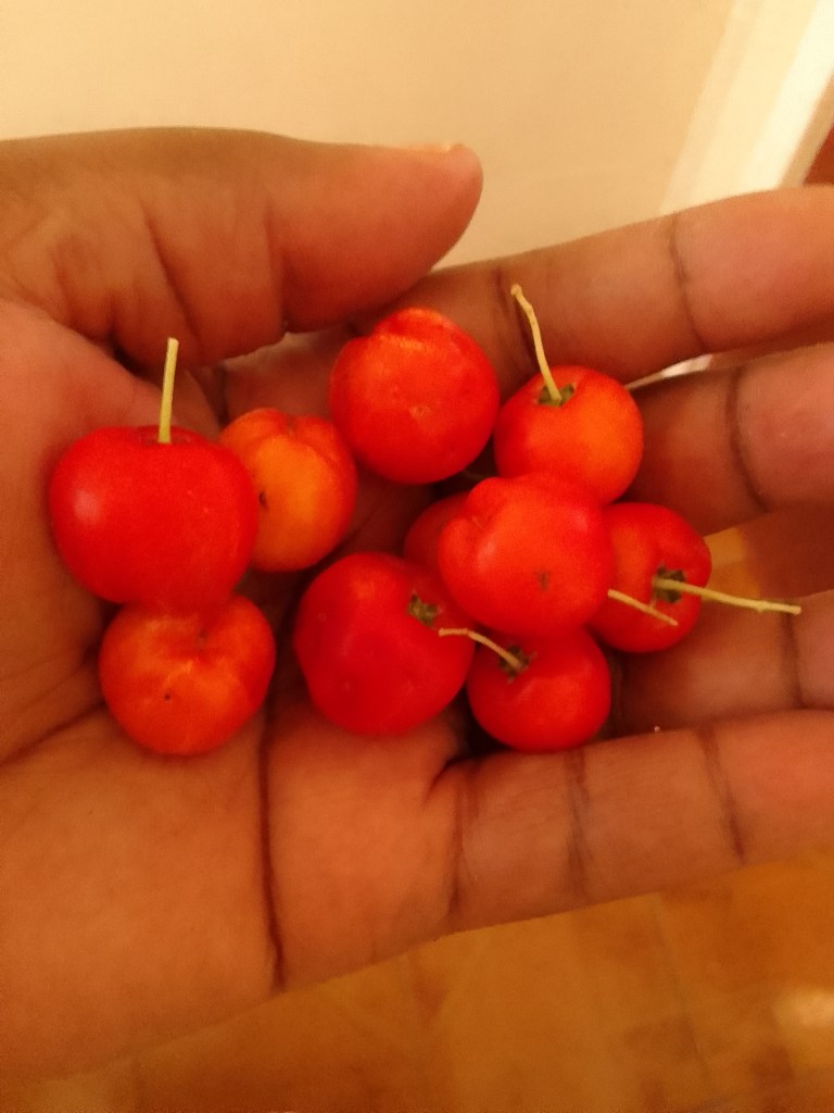Handful of cherries
