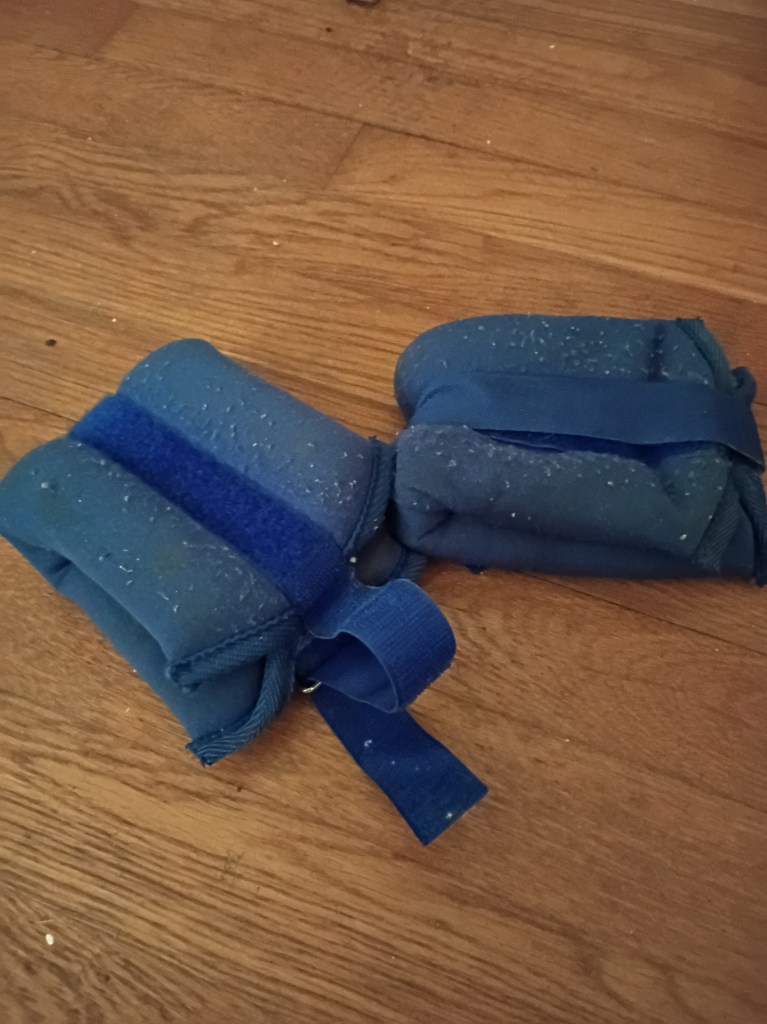 Weights used for exercising