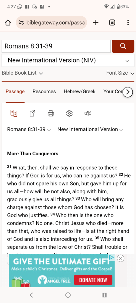 Screenshot of Bible verse Romans Chapter 8