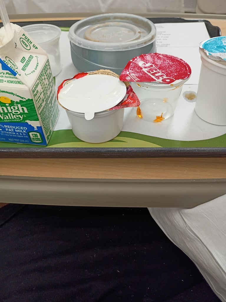 Lunch tray