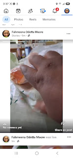 Pic from video1
